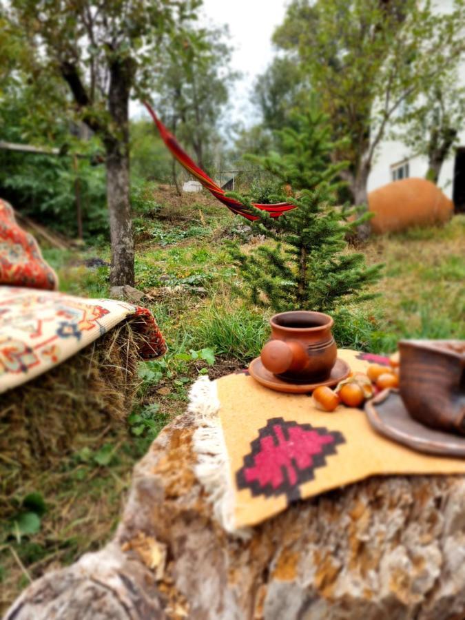 Hooni_Guesthouse Odzun エクステリア 写真