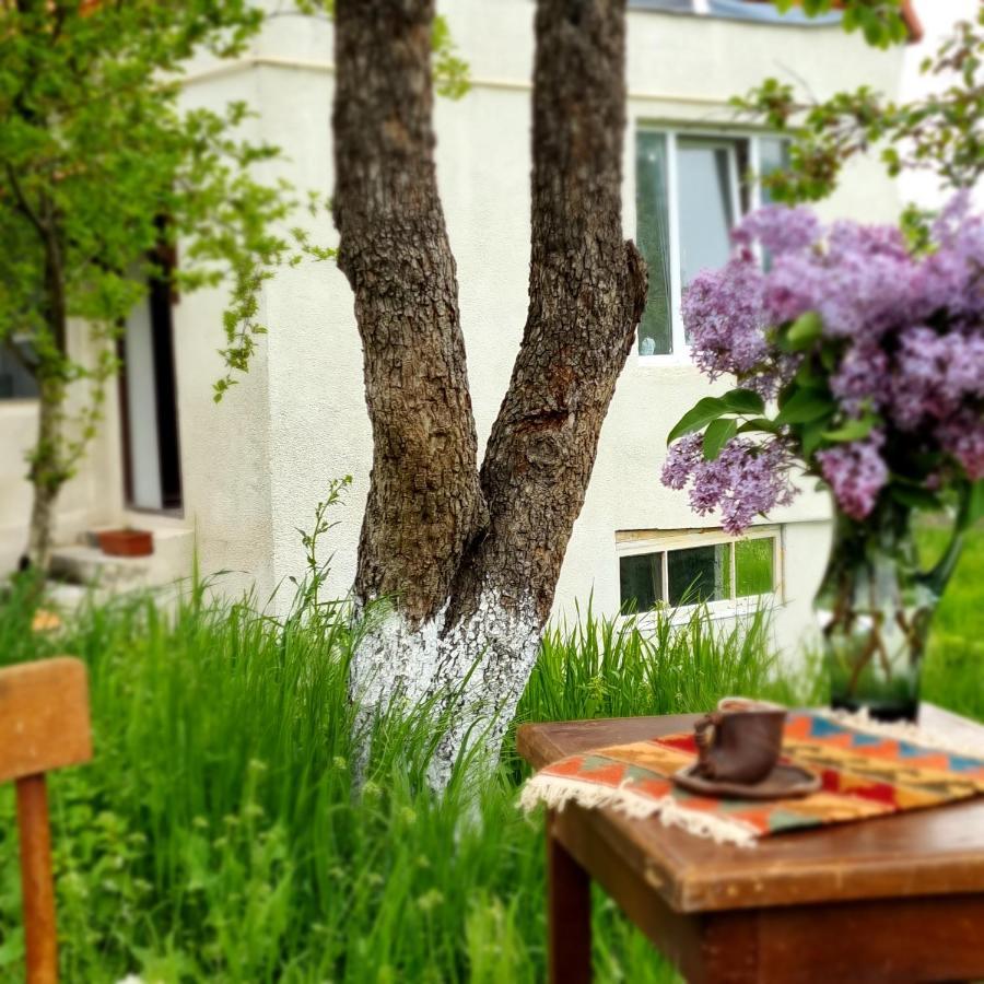 Hooni_Guesthouse Odzun エクステリア 写真