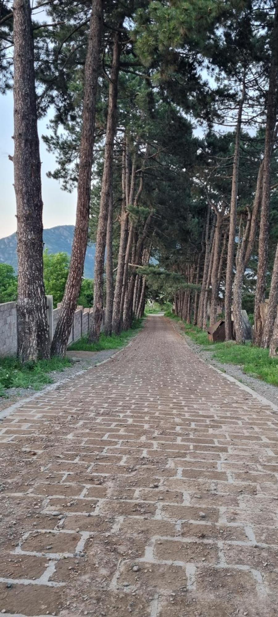 Hooni_Guesthouse Odzun エクステリア 写真