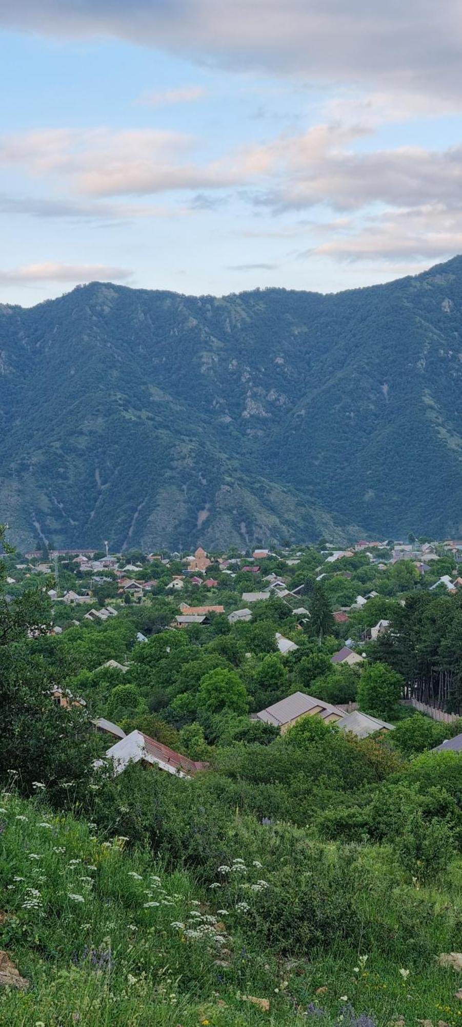 Hooni_Guesthouse Odzun エクステリア 写真