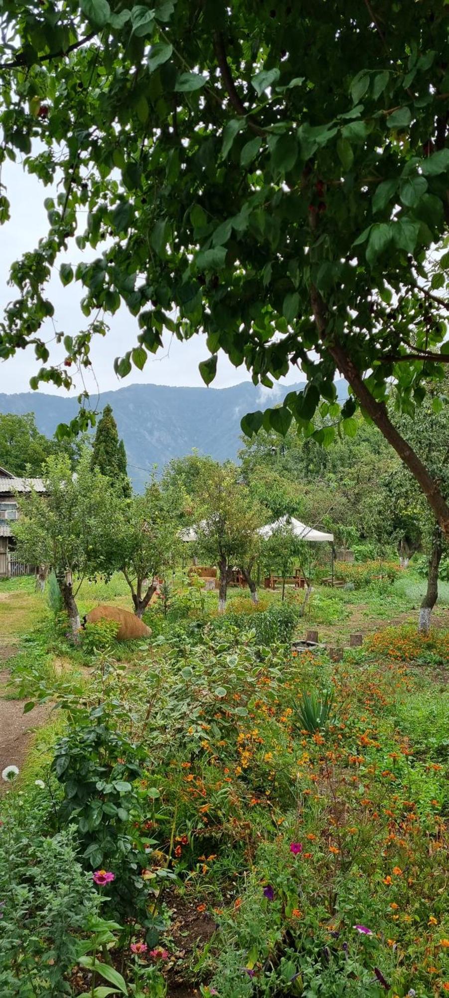 Hooni_Guesthouse Odzun エクステリア 写真